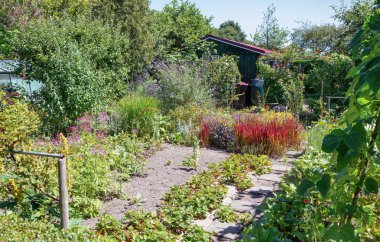 Zaandam, Hollanda, 2 Temmuz 2018: bir güzel dekoratif mutfak ve Hollanda çiçek bahçesinde çevrili bahçe döken