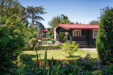 Güzel bir dekoratif bahçe Hollanda çevrili bahçe döken