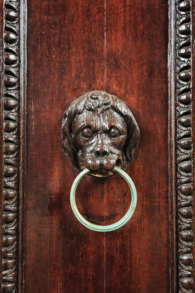 Wood carved lion\'s head with metal ring as door knocker on a house door in Haarlem