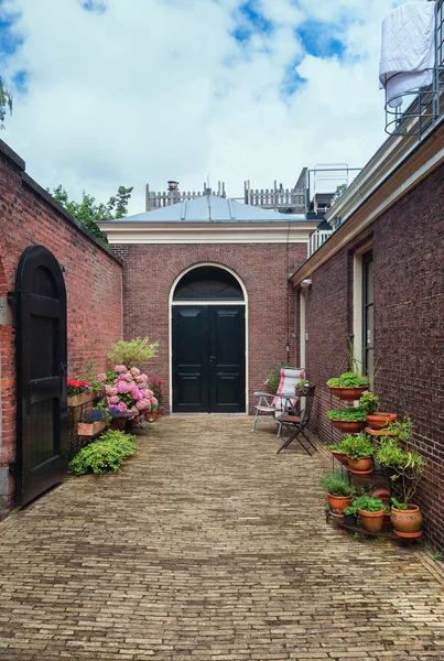 Подаяние Зеленый Сад Старом Центре Харлема Нидерландах — стоковое фото