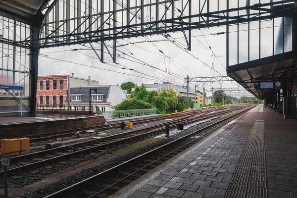 네덜란드 2016 유명한 기차역의 우아한 아르누보 벽돌의 자연적인 장식품 래커는 — 스톡 사진