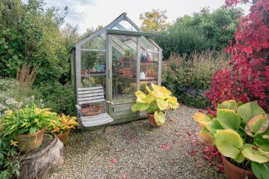 Bitkiler ve ağaçlar autumncolors Hollanda bir parkta bir yere içinde çevrili cam sera
