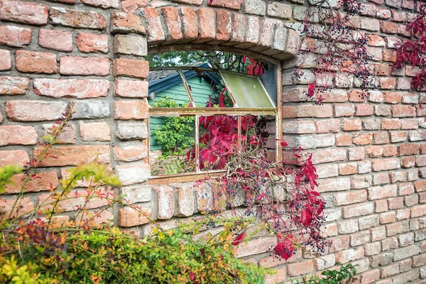 Old Wall Broken Window Branches Shrub Autumn Colors Grows Park — Stock Photo, Image