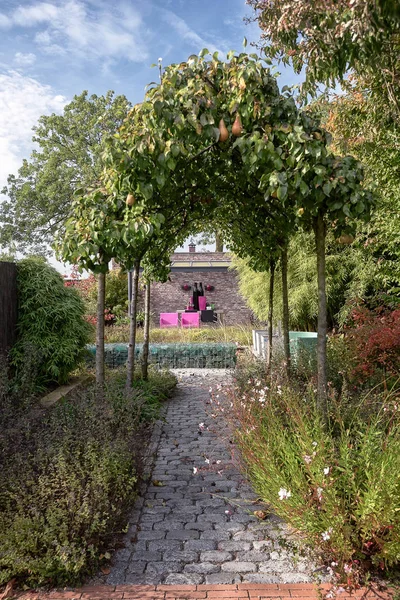 Два Розовых Стула Свесом Насладиться Солнцем Красивом Осеннем Саду Нидерландах — стоковое фото