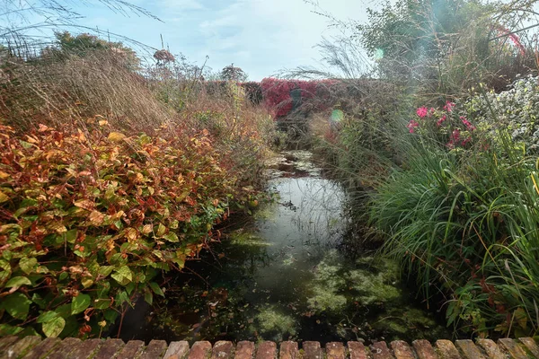 Teich Einem Garten Vollen Herbstfarben Irgendwo Den Niederlanden — Stockfoto