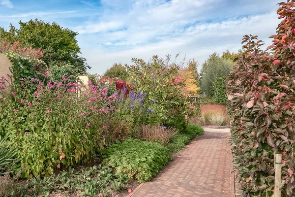 Fußweg Durch Den Schönen Herbstlichen Garten Irgendwo Den Niederlanden — Stockfoto