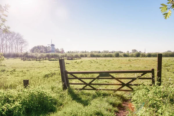 Het Landschap Van Prachtige Rivier Van Rivier Linge Met Windmolen — Stockfoto