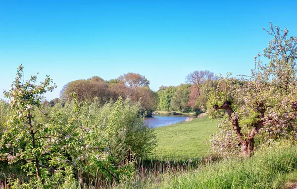 Het Landschap Van Prachtige Rivier Van Rivier Linge Regio Van — Stockfoto