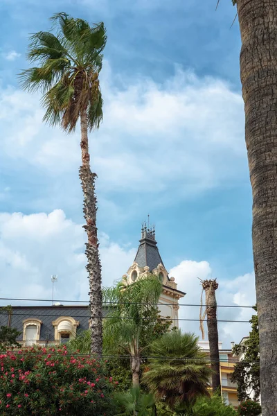 Bela palmeira em frente a um edifício na aldeia San Remo — Fotografia de Stock