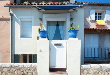 2 beyaz pi üzerinde 2 Mavi çiçek Demlikli karakteristik Beyaz Saray