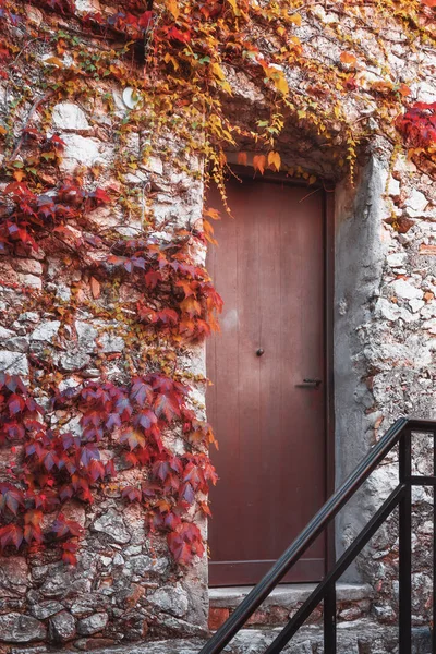 Door of a medieval house in the village of Eze — Stock Photo, Image