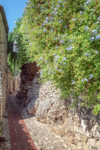 Eindruck einer schmalen Straße mit schön blühenden blauen Blumen auf der einen Seite in der Altstadt des malerischen mittelalterlichen französischen Dorfes Eze — Stockfoto