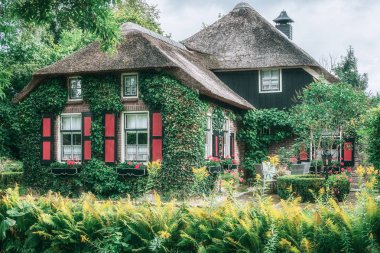 Duvarı bir sürüngen tarafından büyütülen sazdan bir kulübe.