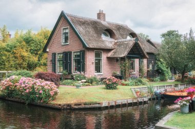 Bir kedi gibi görünüyor bir thatched yazlık.