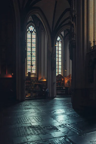 El interior de la famosa Catedral Sintjans de Den Bosch en los Países Bajos — Foto de Stock