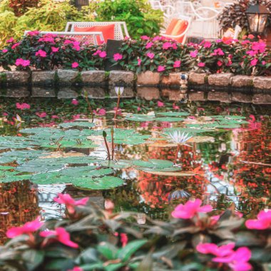 Orchideeen parkında sabırsızlarla çevrili bir gölet. 