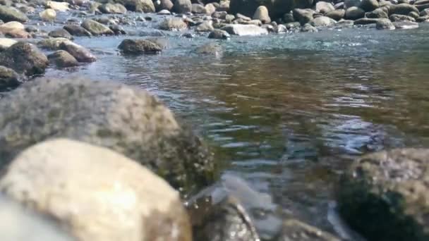 Flujo Agua Tranquilo Río Con Abundante Agua Una Corriente Agua — Vídeos de Stock