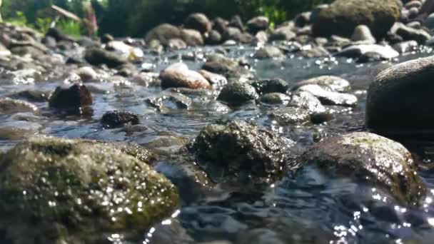Bol Suyu Olan Bir Nehirde Akışı Sakindir Doğal Taşların Arasından — Stok video