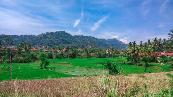 Pemandangan Alam Cipongkor Yang Sangat Indah Indonesia — Stok Foto