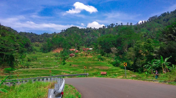 Mycket Vacker Natur Cipongkor Indonesien — Stockfoto