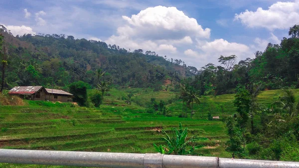 Pemandangan Alam Cipongkor Yang Sangat Indah Indonesia — Stok Foto