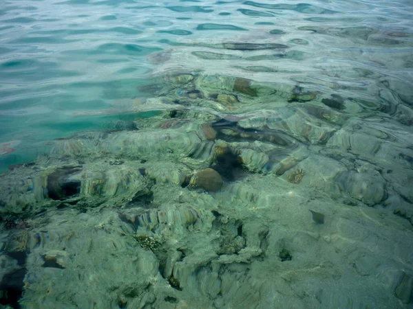 Arrecife Mar Bajo Fondo Agua —  Fotos de Stock