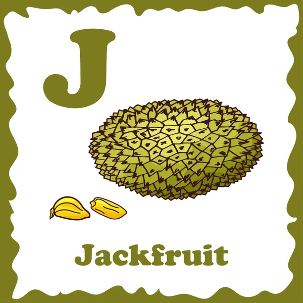 Alphabet pour enfants avec des fruits. Lettre saine abc J-Jackfruit — Image vectorielle