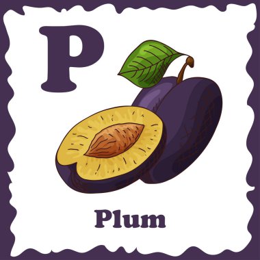 Alfabe meyve ile çocuklar için. Sağlıklı abc harf P-Erik