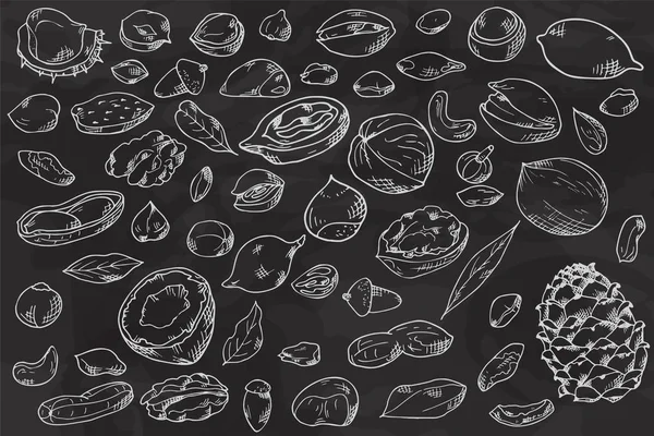 Frutta secca e semi disegnati a mano. Pistacchi, noci brasiliane, noci pecan, nocciole, noce moscata, anacardi, macadamia, noci, almont e così via. Illustrazione vettoriale — Vettoriale Stock