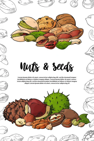 Castanhas naturais e modelo de sementes. Objetos desenhados à mão para o seu design. O padrão com espaço para texto. Ilustração vetorial — Vetor de Stock