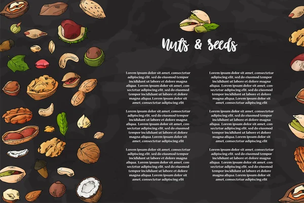 Natural nuts and seeds template. Hand drawn objects for your design. The pattern with space for text. Vector illustration — Stock Vector