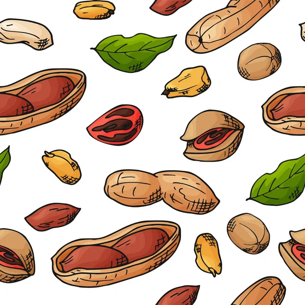 Vector sömlösa mönster med nötter och frön. Pistaschmandlar, brasil nötter, pecan, hasselnöt, muskot, cashew bakgrund. Handritad element i skiss stil — Stock vektor