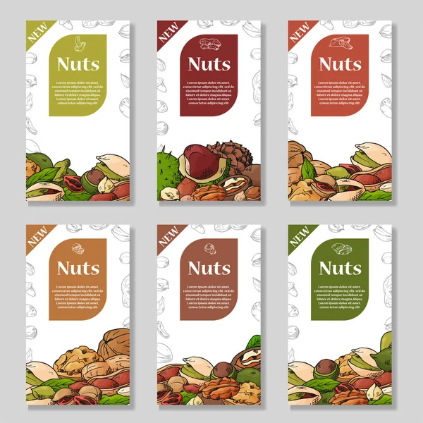 Nüsse und Samen sammeln. handgezeichnete Elemente. Flyer, Broschüre Werbung und Design. Vektorillustration — Stockvektor