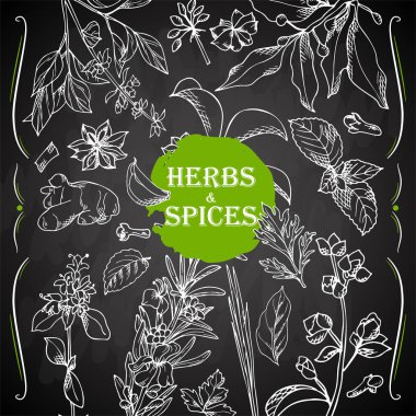 El otlar ve baharatlar çekilmiş. Eskiz unsurları ile dekoratif arka plan. Vektör çizim