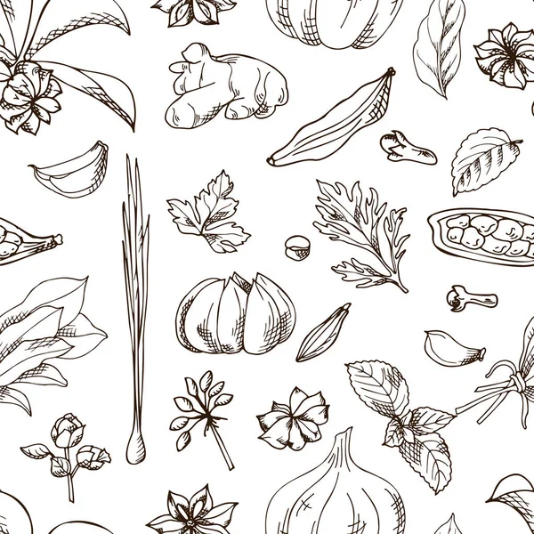 Seamless mönster med aromatiska växter skiss. Hand dras örter och kryddor. Vektorillustration — Stock vektor