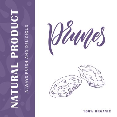 Kızılcık vektör meyve elemanı. Harflerle çizilmiş el yazısı. Kafe, market, menü tasarımı için gıda illüstrasyon