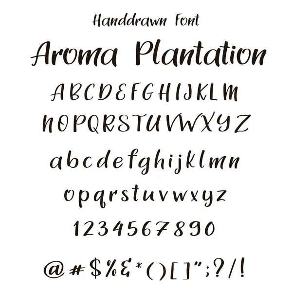 Handwritten calligraphy font. Vector alphabet. Hand drawn letters — Stock Vector