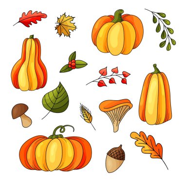 Seamless pattern with autumn elements. Orange harvest. Nature design for your background. Vector illustration
