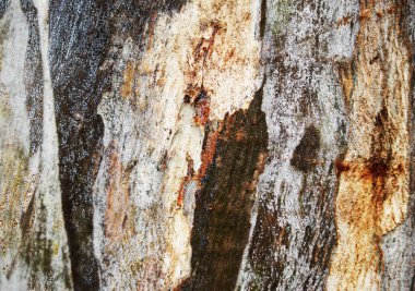 Ahşap tasarım için sanatsal arkaplan deseni