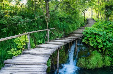 Plitvice Milli Parkı, Hırvatistan. Ahşap tahta yol yeşil orman ve su üzerinde
