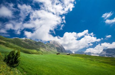 Gruppo delle Odle, Col Raiser görünümden. Puez Odle massif dağlarda Dolomites, İtalya, Güney Tirol Alpleri'nin, Alto Adige, Val Gardena, Geislergruppe