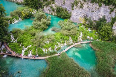 Plitvice Milli Parkı, Hırvatistan. Ahşap tahta yol yeşil orman ve su üzerinde