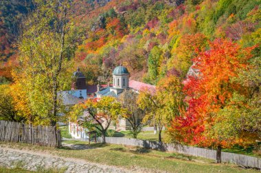 Stanisoara Manastırı Cozia Milli Parkı'nda. Sonbahar Cozia, Karpat Dağları, Romanya.