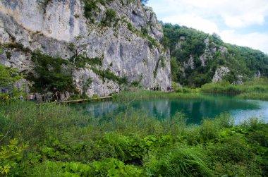Plitvice Milli Parkı, Hırvatistan, Avrupa. Göl ve orman tarafından çevrili şelaleler üzerinde şaşırtıcı görünümü.