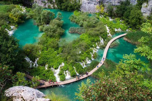 Plitvice Milli Parkı, Hırvatistan, Avrupa. Göl ve orman tarafından çevrili şelaleler üzerinde şaşırtıcı görünümü.
