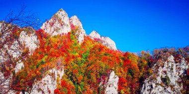 Buila Vanturarita, Karpatya Dağları, Romanya 'da Sonbahar.
