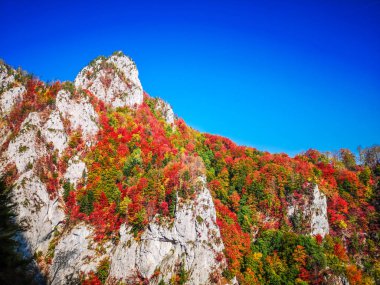 Buila Vanturarita, Karpatya Dağları, Romanya 'da Sonbahar.