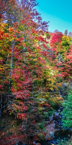 Осінь у будуванні Вантураріти, Карпатські гори, Румунія. — стокове фото