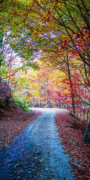 Outono em Buila Vanturarita, Carpathian Mountains, Roménia . — Fotografia de Stock