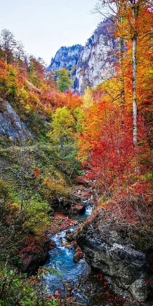 Autumn in Buila Vanturarita, Carpathian Mountains, Romania. — Stock Photo, Image